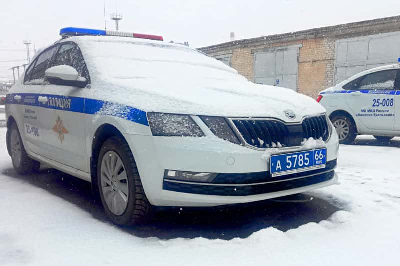 МЧС: 24 ноября местами в Свердловской области ожидаются сильный снег и гололёдные явления