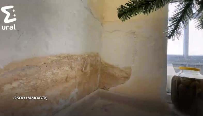 Жильцы элитного тюменского ЖК жалуются на застройщика и чёрную плесень 