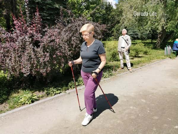 10 тысяч шагов в день не нужны? 