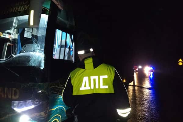 На трассе под Екатеринбургом автобус Сима-ленда сбил насмерть пешехода