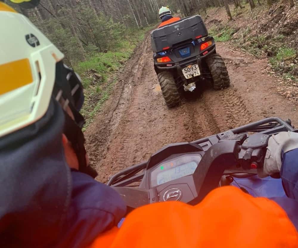 84-летний челябинец пропал, пытаясь найти табун лошадей 