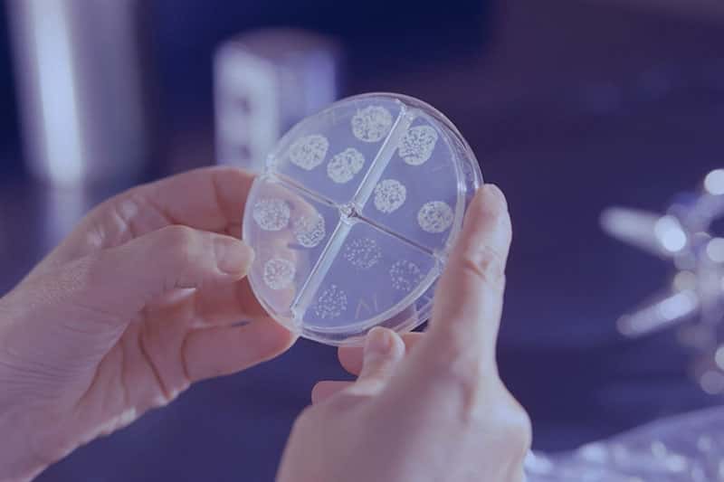 Врач предупредил о новой угрозе от антибиотиков