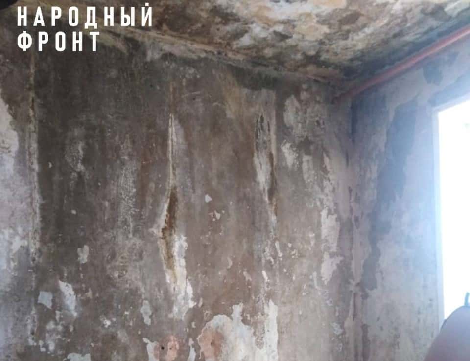 Сирота из Троицка вынужден жить в заплесневелой квартире