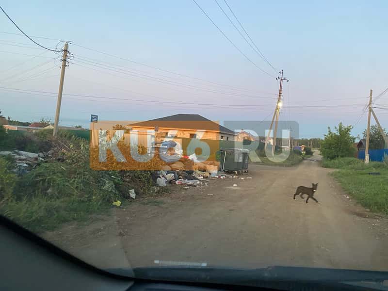 Под Каменском-Уральским люди задыхаются от мусорки