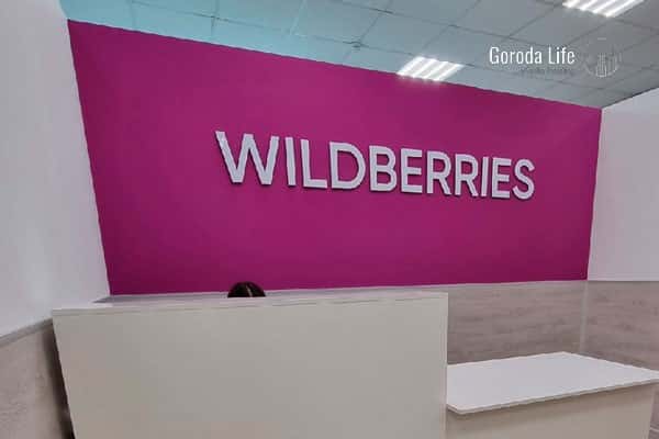 Супруг основательницы Wildberries утверждает, что его хотят дискредитировать 