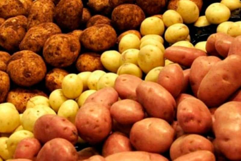 Врач объяснила, как есть картофель с пользой