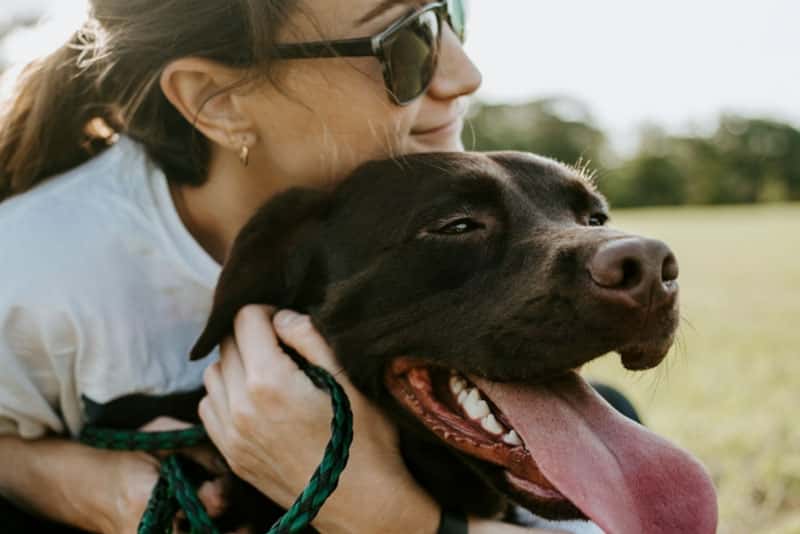Врач объяснила, можно ли спать с собаками