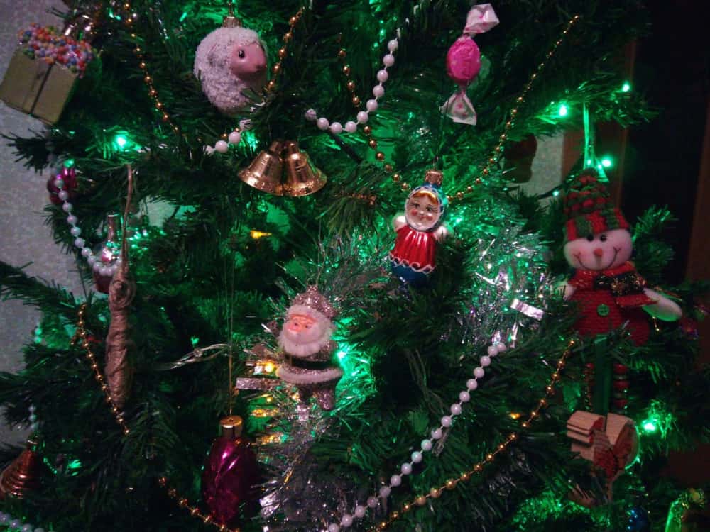 Цены на новогодние ёлки в России вырастут 