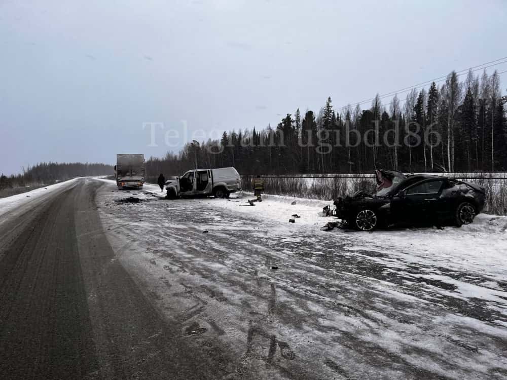 Югорчанин пошёл на обгон и убил двоих человек 