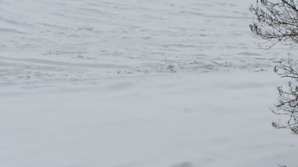 Новогодний снег — на Урале идут сильные снегопады 