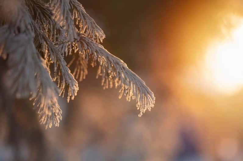 В столице Урала потеплело до +2,1°. Рассказываем, что будет дальше