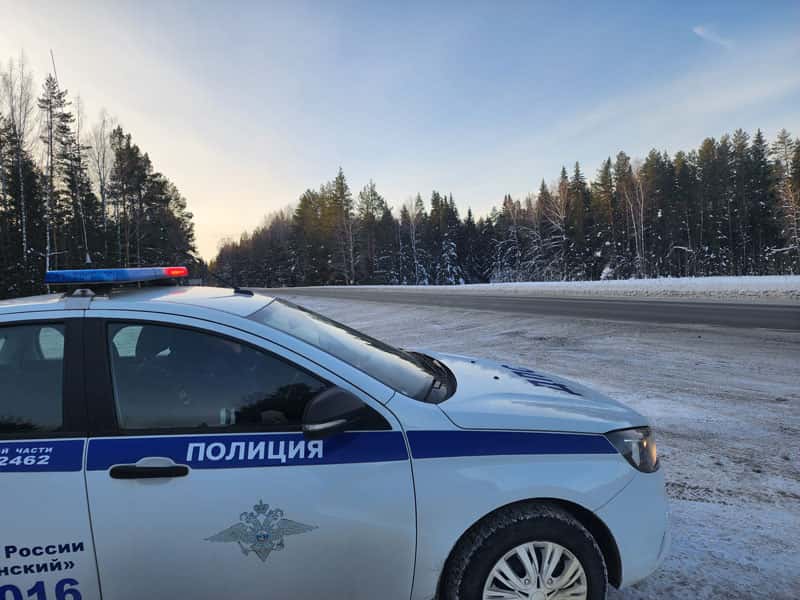 Свердловская ГИБДД выступила с обращением из-за снегопада 