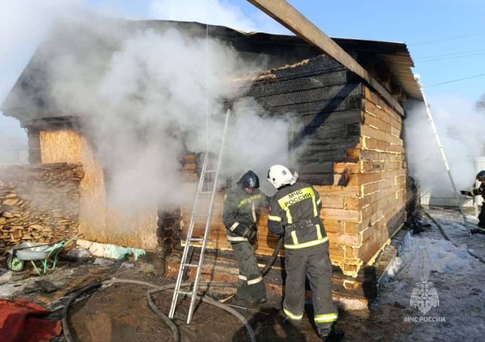 Семилетняя девочка спасла младенца — в Зауралье три ребёнка погибли на пожаре 