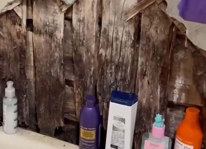 Жильцы аварийного дома на Урале просят Путина о помощи 