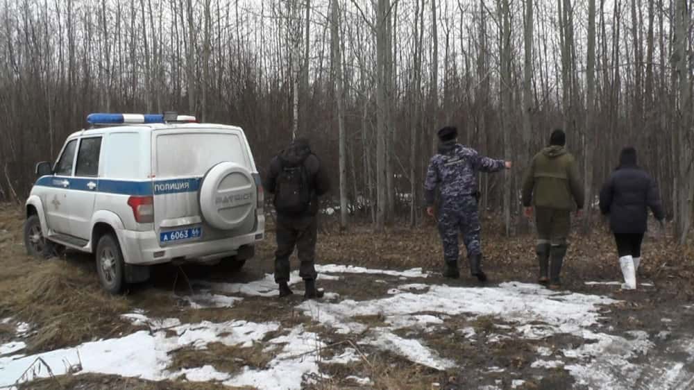 Растащили дикие звери? Что известно о найденной в Серове женской голове 