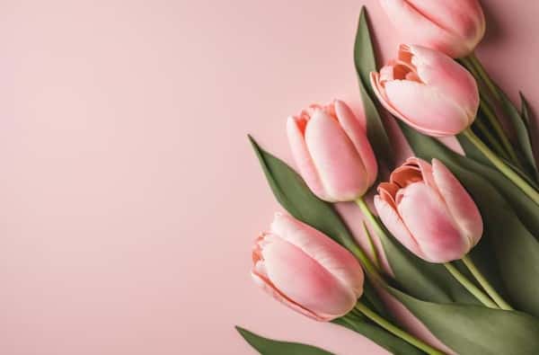 В Прикамье похоронили девушку, найденную нанизанной на забор 