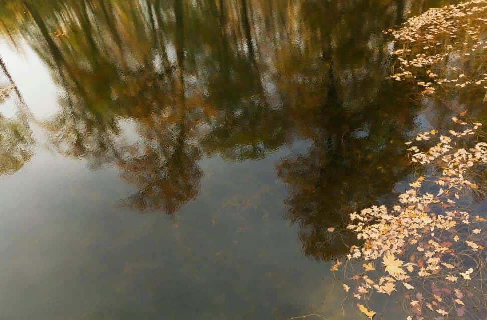 Ученик седьмого класса утонул в Кировграде 