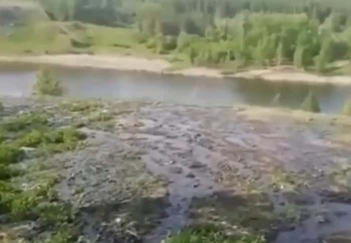 «Земля отравлена, трава не растет»: фекалии вновь текут по улицам посёлка Мартюш