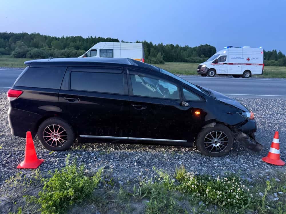 В Тюменской области семья из Ноябрьска задавила лося 