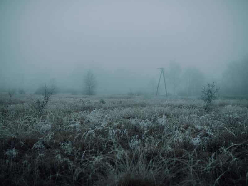 На Урале возможны заморозки — новый прогноз синоптиков 