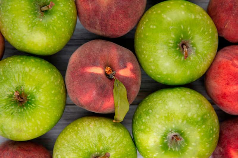 «Не уступает японской сакуре» — садовод назвала самое русское растение для посадки 