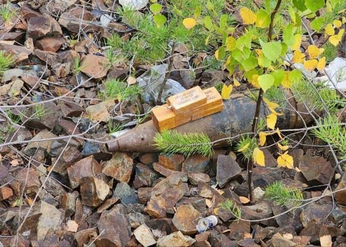 В Свердловской области обезвредили найденный в лесу боевой снаряд 