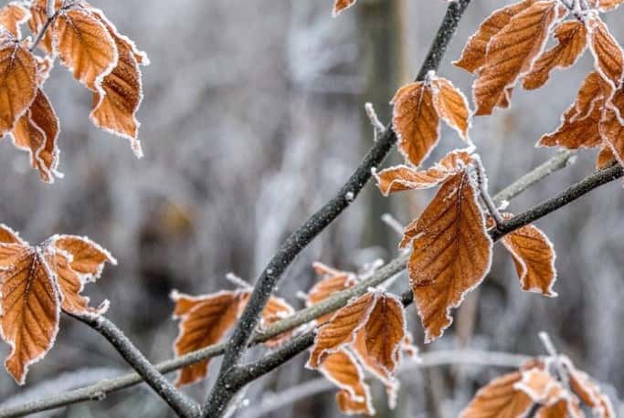 Резкое похолодание — арктический циклон приближается к Уралу 