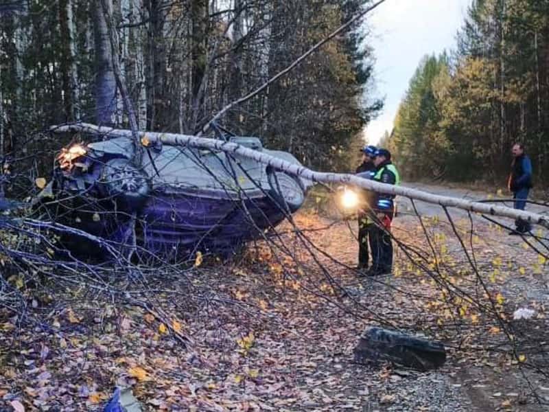 Смертельное ДТП под Ивделем: Honda съехала с дороги, два человека погибли
