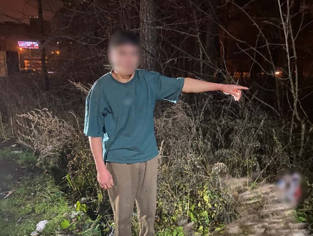 Убил мать и отрезал ей голову — стало известно, кто погубил женщину в лесопарке Екатеринбурга 