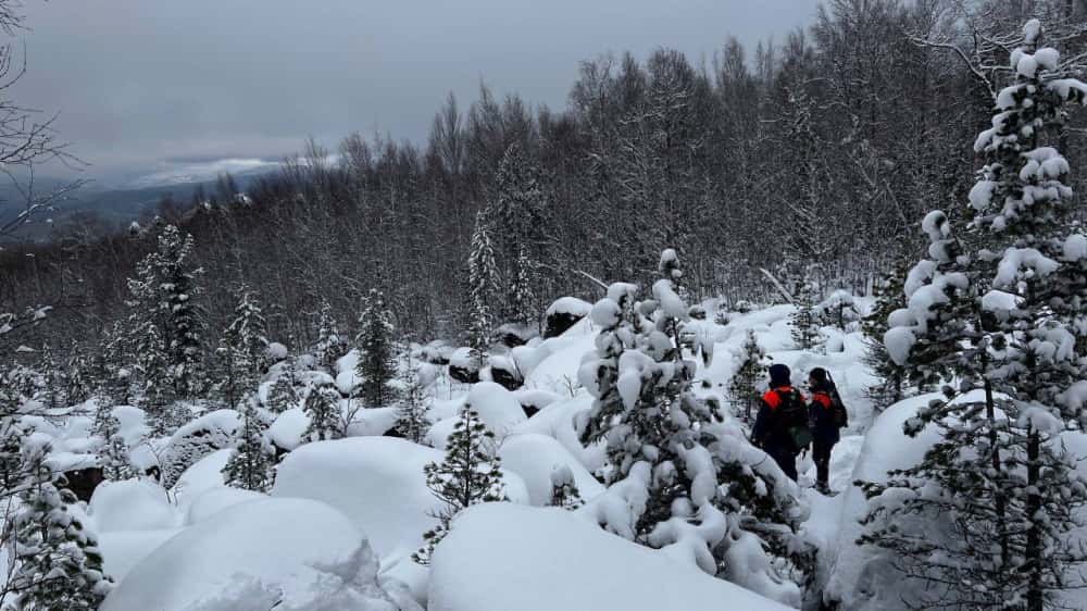 Семью Усольцевых, пропавшую в Красноярском крае, могли видеть в Таиланде: новые сведения