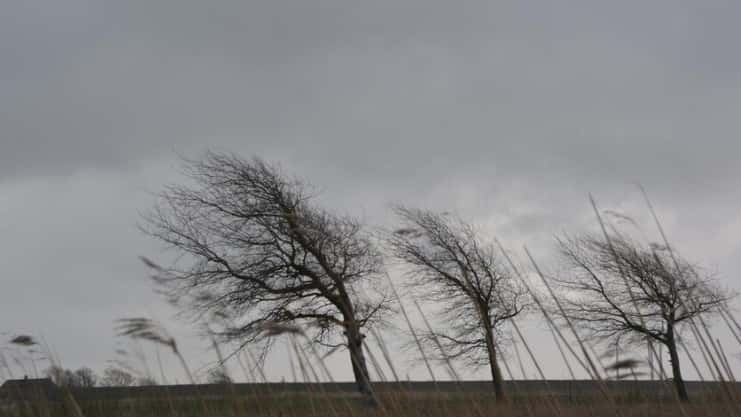 Холодная волна в Екатеринбурге: когда будет -30 °C и когда потеплеет
