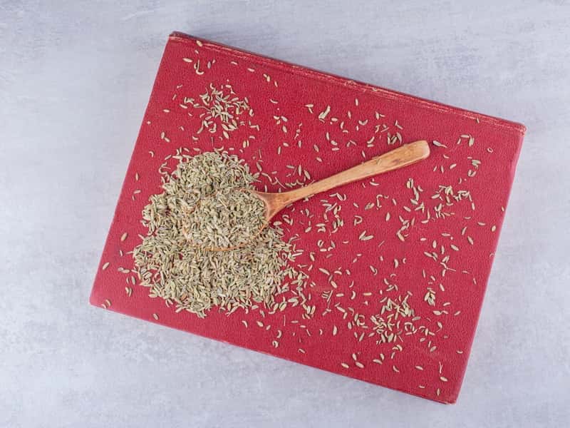 Уральский продавец семян нарушил закон: 163 сорта не внесены в госреестр