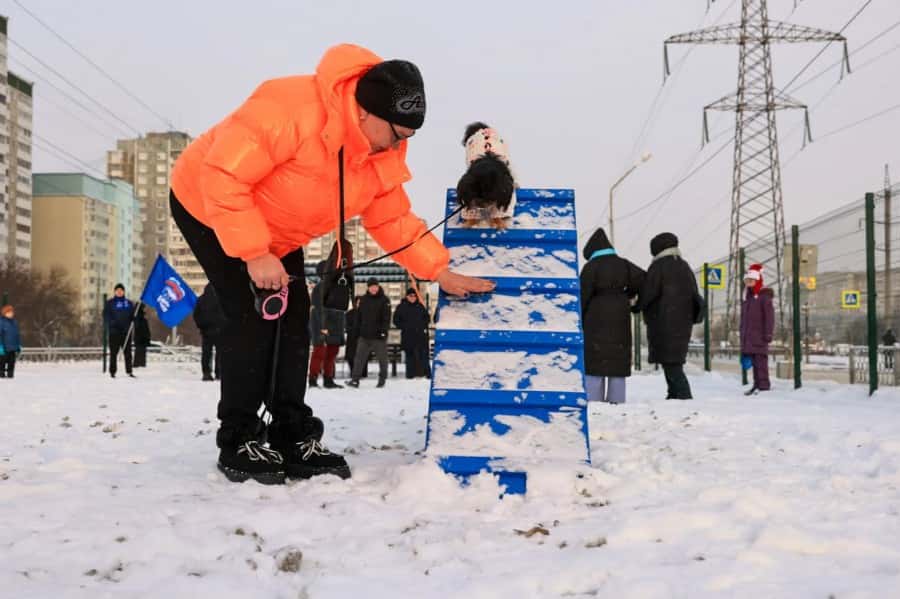 Новая площадка для выгула собак в Екатеринбурге: зоны для крупных и мелких пород, оборудование и тамбур