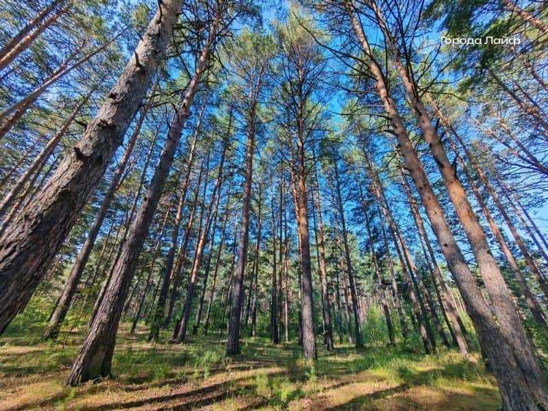 Пастор общины «Движение веры» пропал с семьей после странного собрания