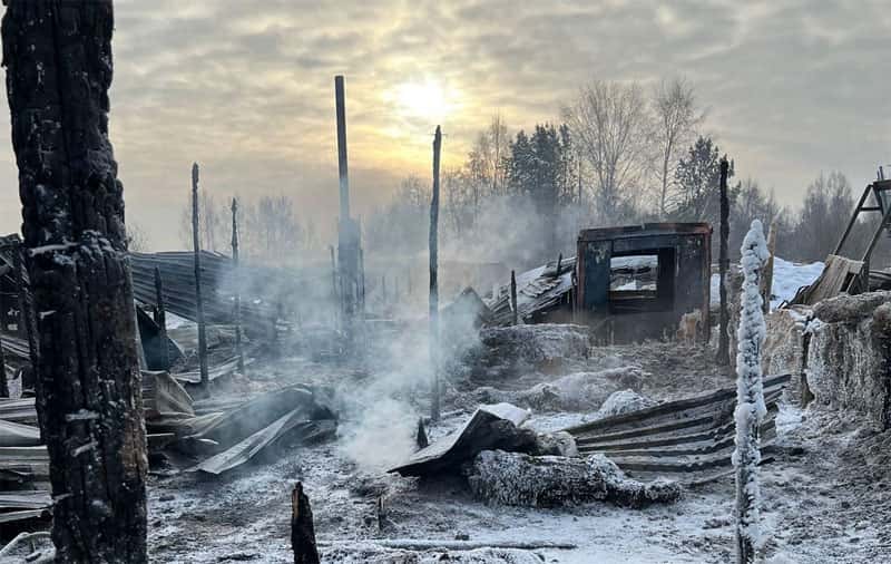 Огонь уничтожил конюшню и всех лошадей: подробности трагедии