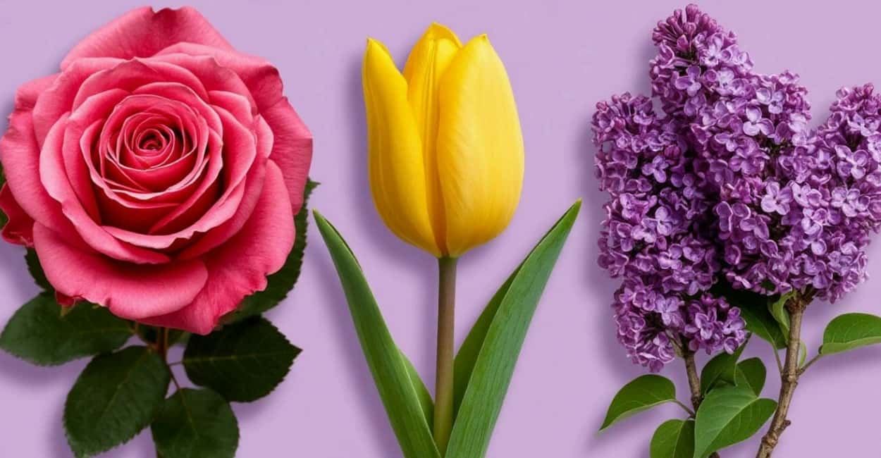 Выберите цветок — узнаете, насколько вы разбираетесь в людях: самый точный психологический тест