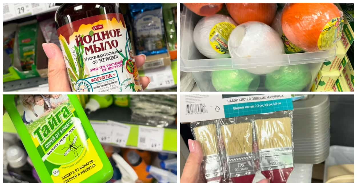 «Фикс Прайс» снова радует новинками: 5 супер-товаров из нового завоза, которые пригодятся любителям дачи