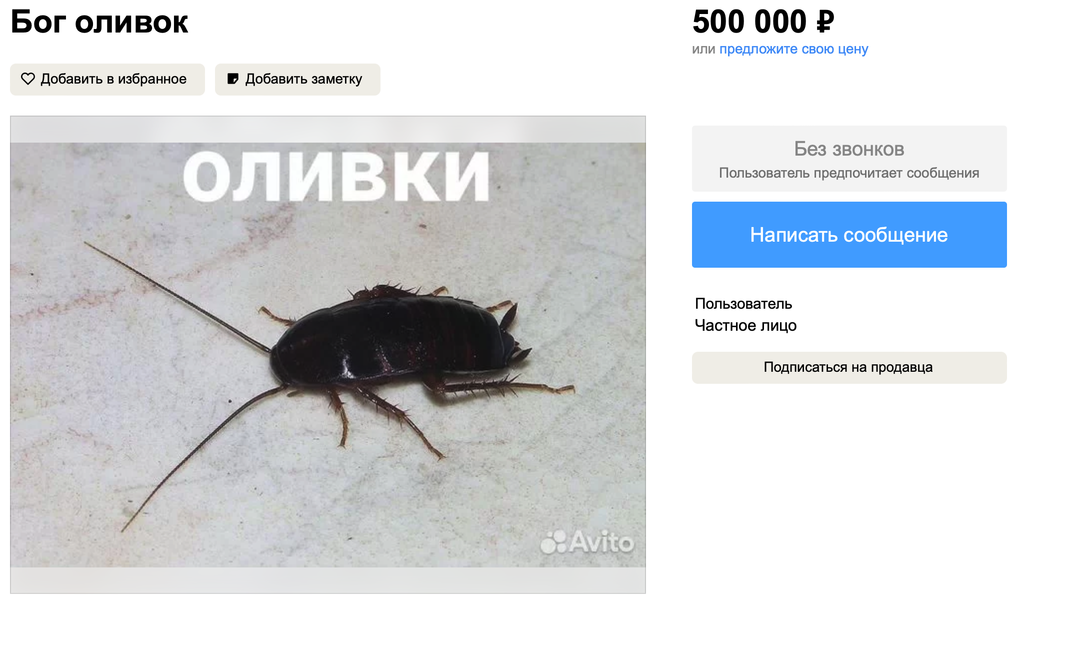 Креативные предложения на Авито: Необычные товары и услуги для уральцев