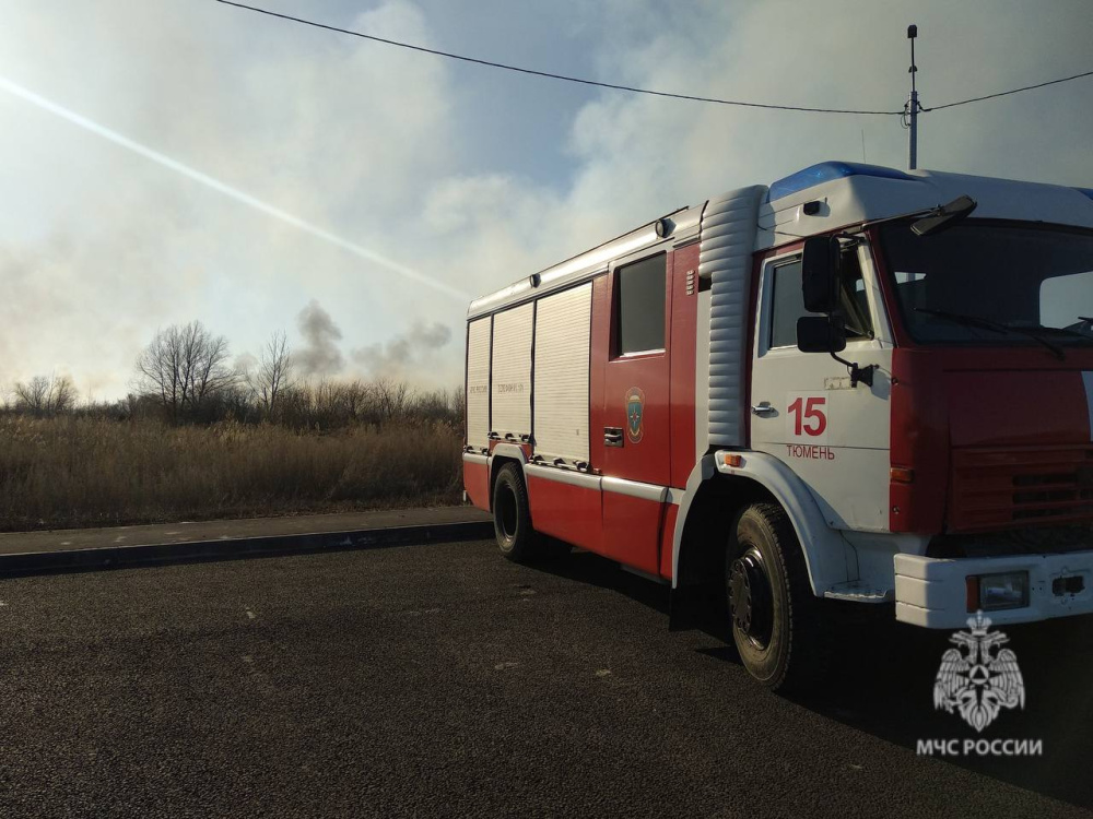 В Тюменской области к водной стихии добавилась огненная | В Тюмени на Велижанском тракте тушат травяной пожар В Тюменской области к водной стихии добавилась огненная | В Тюмени на Велижанском тракте тушат травяной пожар