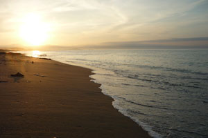 ООН официально признала права России на Охотское море