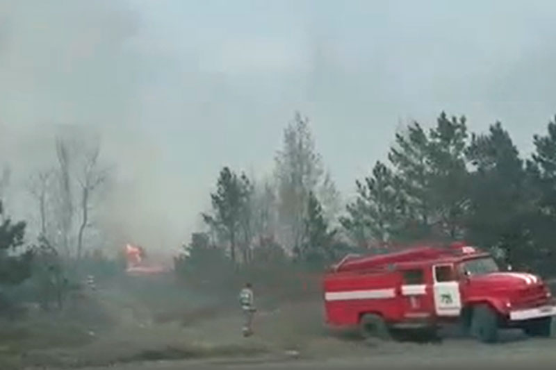 О лесных пожарах можно сообщить через приложение «Берегите лес» для Android О лесных пожарах можно сообщить через приложение «Берегите лес» для Android