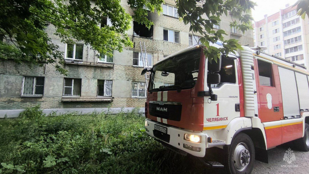 Спасли двух кошек — мужчина погиб при пожаре в Челябинске | Спасли двух кошек — челябинец погиб в квартире при пожаре