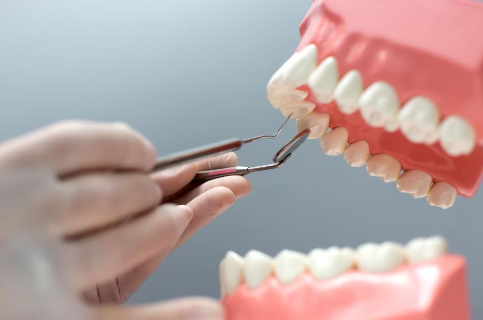 В уральском рестобаре клиентка чуть не съела стекло  | На Урале в рестобаре женщина повредила зуб едой 