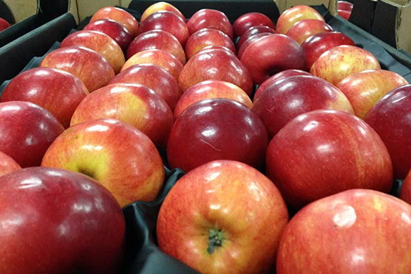 Польские фермеры перекрыли парализовали движение поездов Варшава - Москва