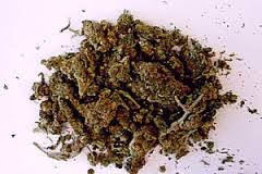 На трассе Екатеринбург – Курган задержали грузовик с наркотиками На трассе Екатеринбург – Курган задержали грузовик с наркотиками