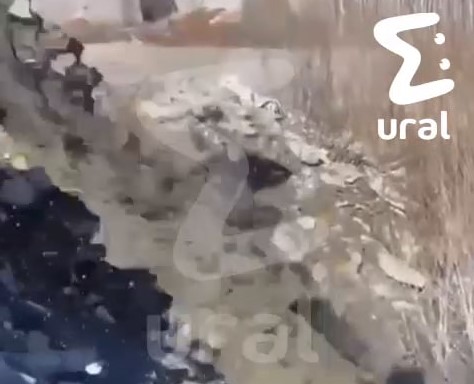 Жители Екатеринбурга жалуются на застройщика, превратившего берег Шарташа в свалку | Берег Шарташа превратился в свалку — люди уральцы на «Атомстройкомплекс» Жители Екатеринбурга жалуются на застройщика, превратившего берег Шарташа в свалку | Берег Шарташа превратился в свалку — люди уральцы на «Атомстройкомплекс»