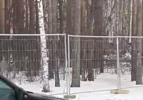 «Предельно открыто и честно» — защитники Берёзовой рощи встретились с мэром Екатеринбурга  | Мэр Екатеринбурга Орлов встретился с защитниками Берёзовой рощи 