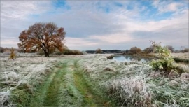 МЧС предупреждает о заморозках в Свердловской области