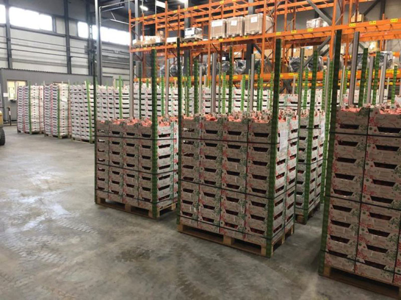 Что везут в Свердловскую область из-за рубежа: итоги проверок Россельхознадзора | В Свердловскую область ввезли более 4 тысяч тонн фруктов и овощей