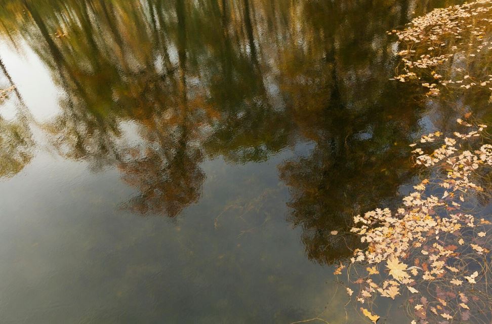 Губит детей вода - две девочки и мальчик утонули на Урале за последние дни | В водоёмах Урала за последние дни погибли трое детей